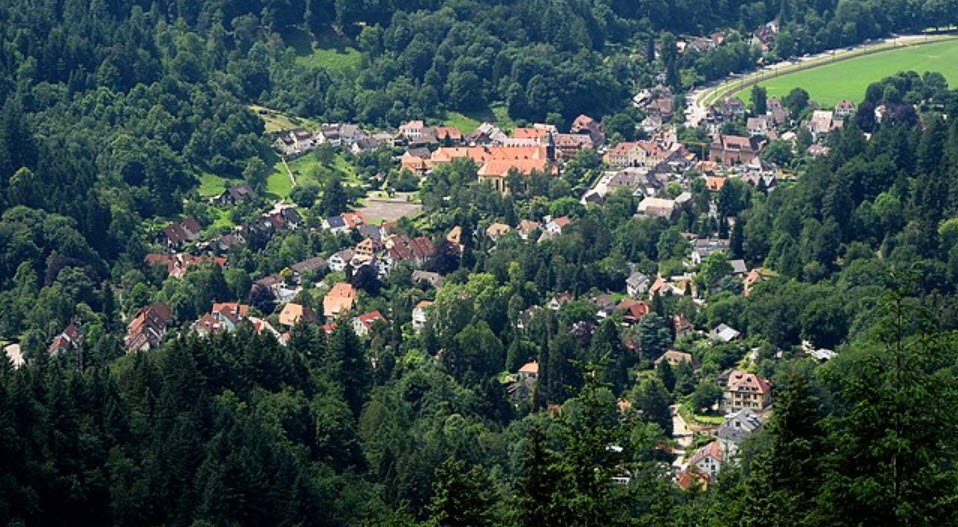 Arboretum Freiburg- Günterstal, Freiburg im Breisgau, Germany, Germany